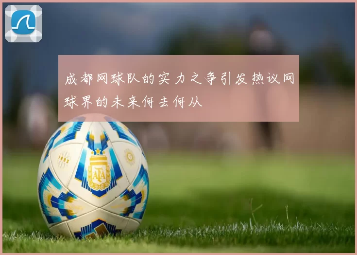 成都网球队的实力之争引发热议网球界的未来何去何从