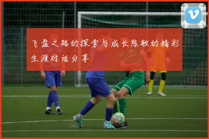 飞盘之路的探索与成长陈敏的精彩生涯对话分享