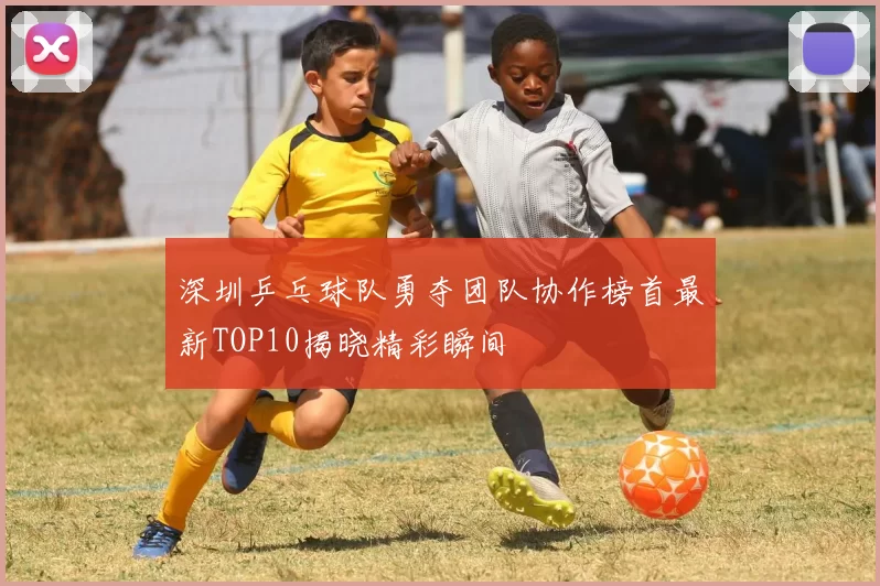 深圳乒乓球队勇夺团队协作榜首最新TOP10揭晓精彩瞬间