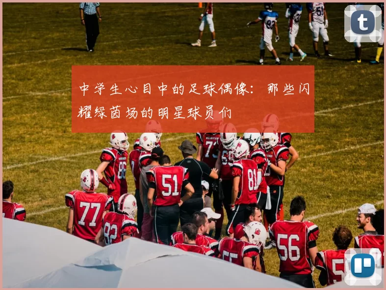中学生心目中的足球偶像：那些闪耀绿茵场的明星球员们