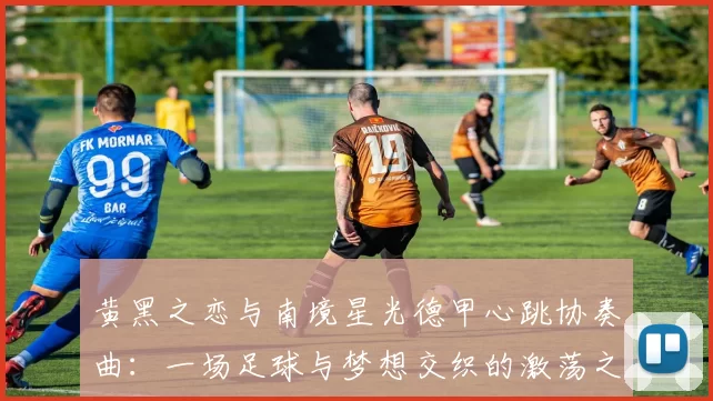 黄黑之恋与南境星光德甲心跳协奏曲：一场足球与梦想交织的激荡之旅