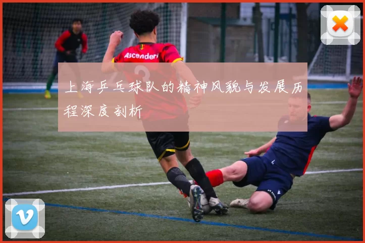 上海乒乓球队的精神风貌与发展历程深度剖析