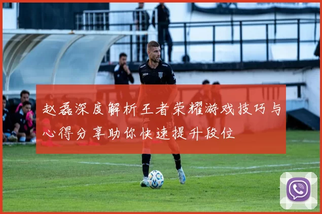 赵磊深度解析王者荣耀游戏技巧与心得分享助你快速提升段位