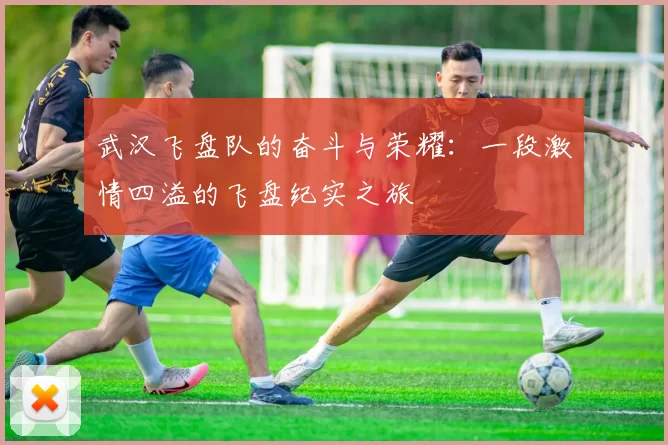 武汉飞盘队的奋斗与荣耀：一段激情四溢的飞盘纪实之旅