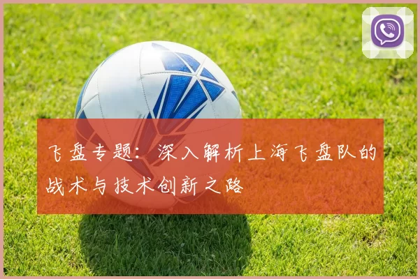 飞盘专题：深入解析上海飞盘队的战术与技术创新之路